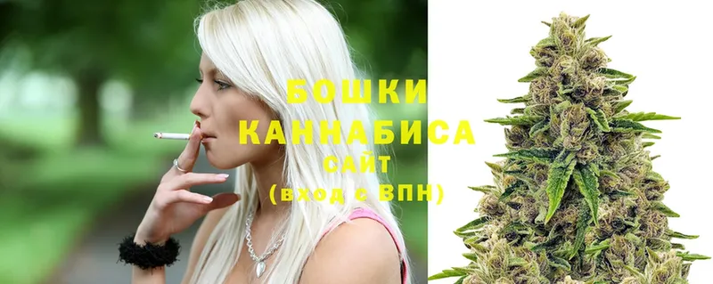 Шишки марихуана THC 21%  Кандалакша 